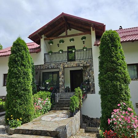 Casa Alba Villa Borsa  Kültér fotó